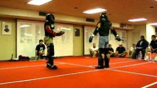 ModernFighter407